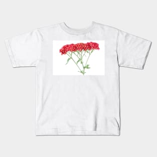 Achillea &#39;Fanal&#39; Yarrow Syn. Achillea &#39;The Beacon&#39; Kids T-Shirt